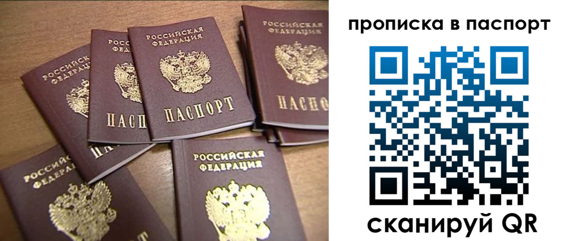 прописка поиск в Ульяновске